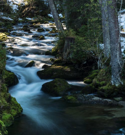 Kleinwalsertal Bergbach André Tappe (c) André Tappe - Kleinwalsertal Tourismus eGen _ Fotograf_ André Tappe