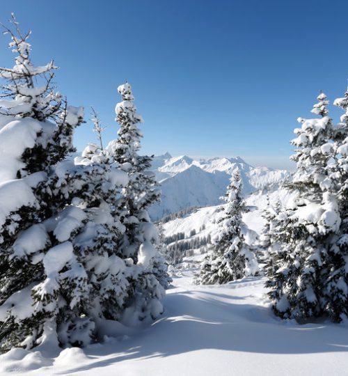 Kleinwalsertal Walmendingerhorn Frank Drechsel (c) Frank Drechsel - Kleinwalsertal Tourismus eGen _ Fotograf_ Frank Drechsel