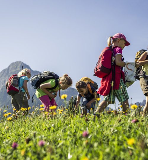 Kleinwalsertal Wildnistag Oliver Farys (c) Oliver Farys - Kleinwalsertal Tourismus eGen _ Fotograf_ Oliver Farys (1)