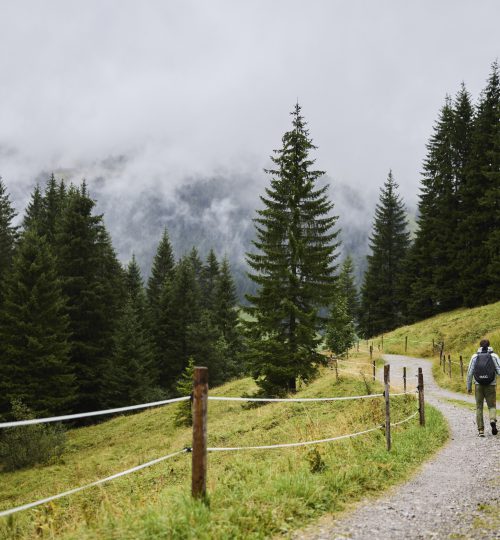 Regenwanderung mit Hütteneinkehr _ Kleinwalsertal Tourismus Oliver Farys (c) Oliver Farys - Kleinwalsertal Tourismus eGen